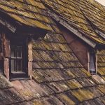 porosité, végétations, fuites, les risques de la toiture
