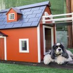 créez un coin chaleureux pour vos animaux