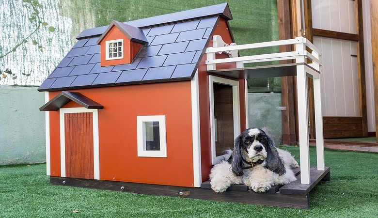 créez un coin chaleureux pour vos animaux