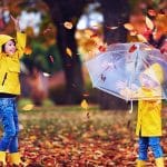 feuilles mortes