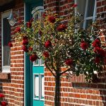 façade d'une maison en brique rouge