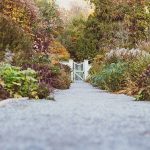 comment faire pour bien entretenir ses allées