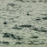 récupérer l’eau de pluie pour la maison ou le jardin