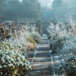 preparer jardin hiver