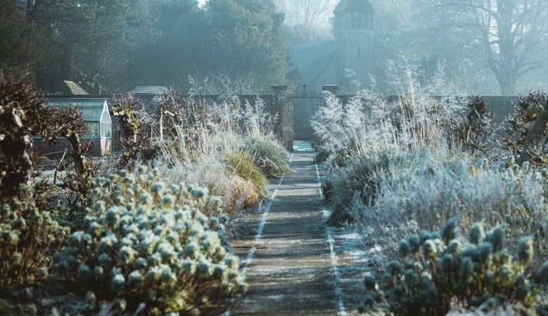 preparer jardin hiver