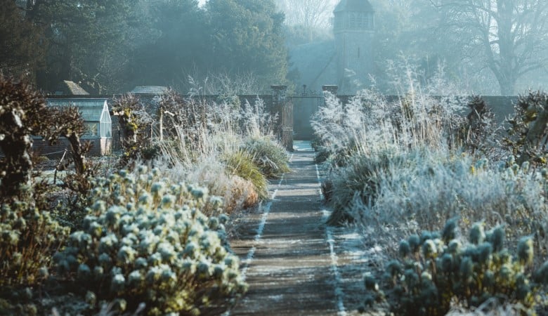 preparer jardin hiver