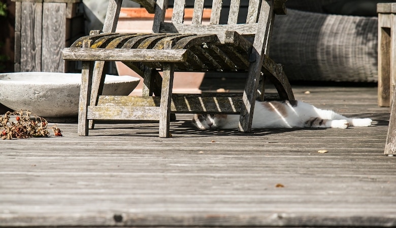 comment entretenir votre terrasse en bois exotique