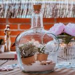 comment réussir votre terrarium et donner un nouveau souffle à votre déco