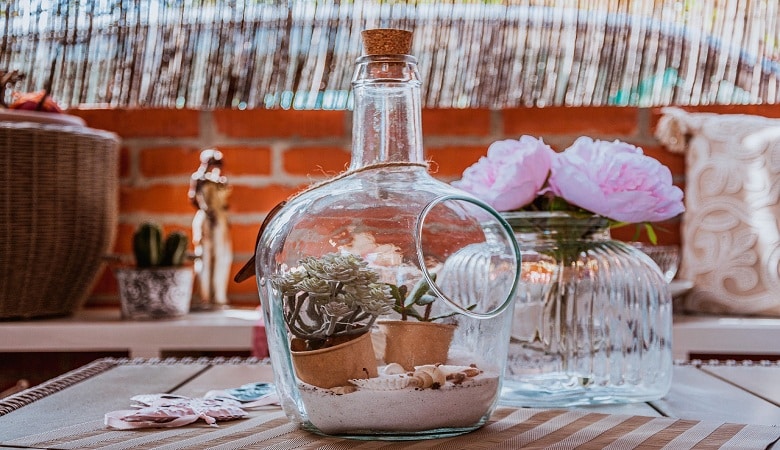 comment réussir votre terrarium et donner un nouveau souffle à votre déco