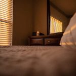 traitement punaises de lit