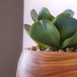 plante artificielle haut de gamme la solution pour sublimer son décor intérieur