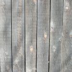 les différents types de brise vue