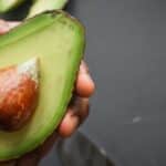 comment faire pousser un avocat