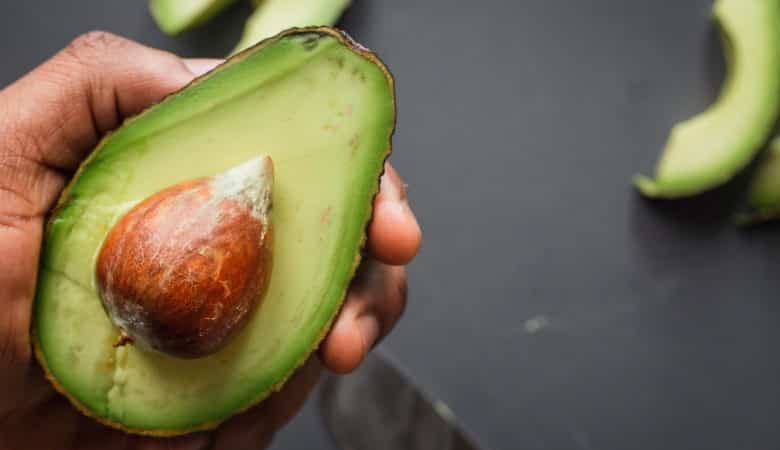 comment faire pousser un avocat