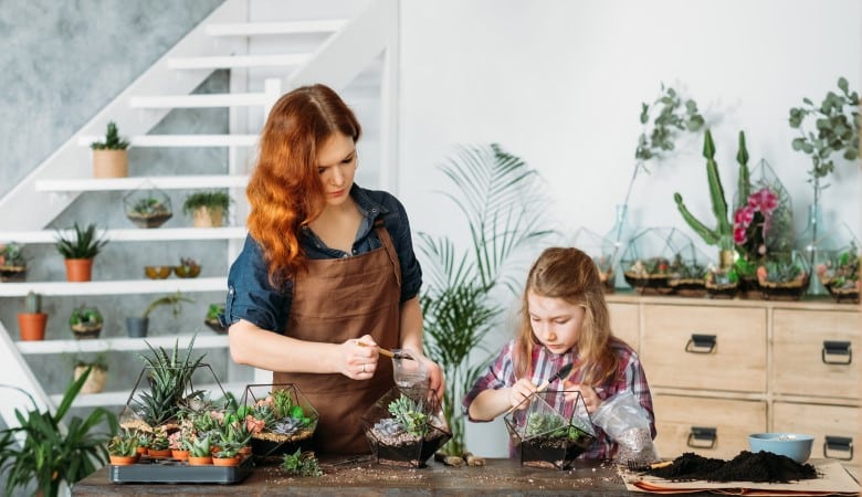 faire un jardin d'intérieur