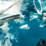 emballages plastiques et réglementation que dit la loi