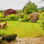 english summer garden