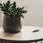 table basse