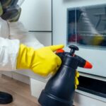 insectes indésirables dans une maison