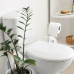astuces de grand mère pour déboucher les toilettes