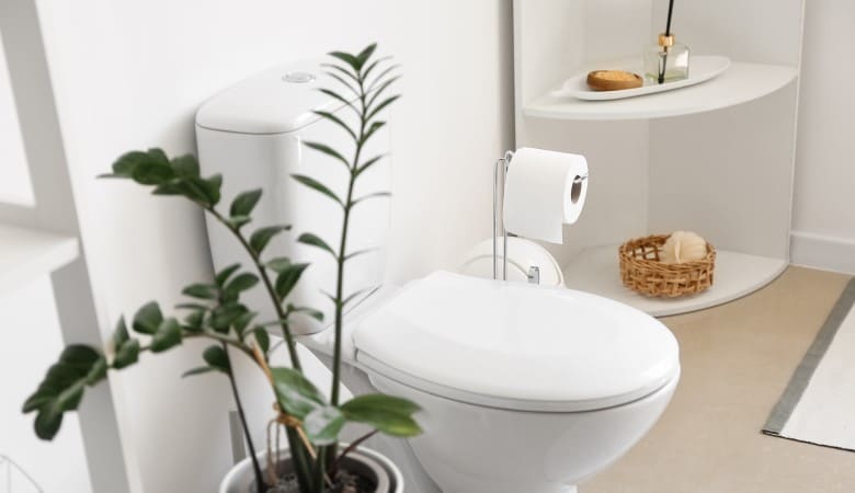 Astuce de Grand-Mère pour Déboucher les Toilettes