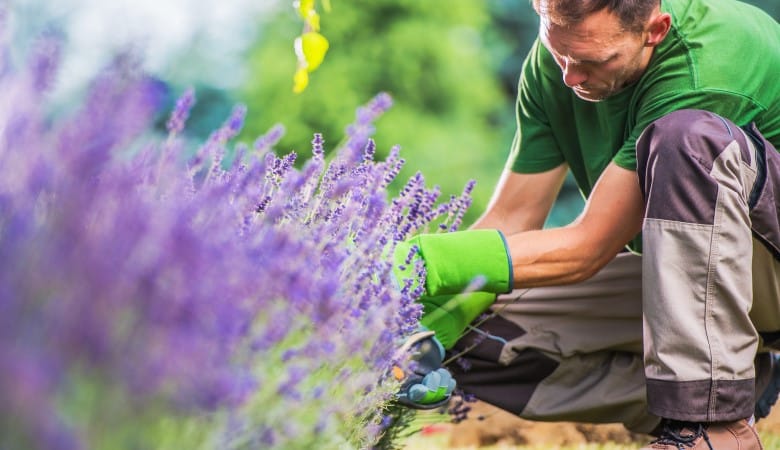 quel paysagiste peut faire un jardin écologique