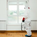 éliminer les cafards