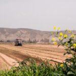 terrain agricole