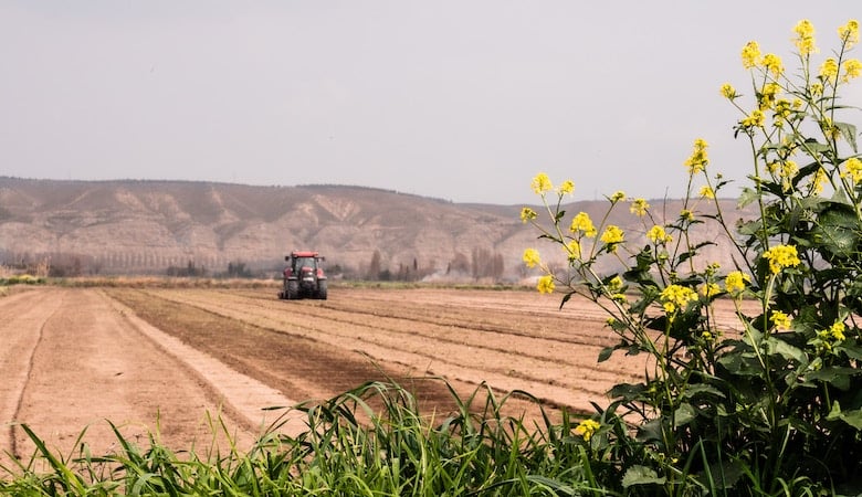 terrain agricole