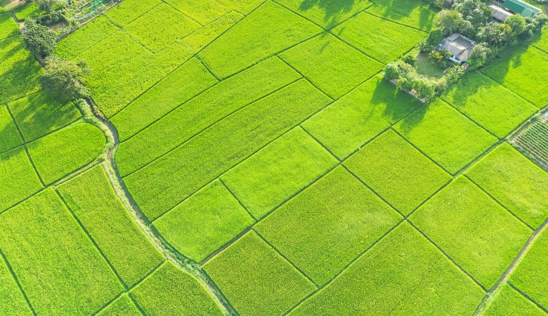 Vue en hauteur d'un terrain agricole vert.