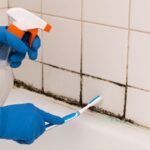 traitement anti moisissure douche
