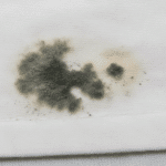 Personne nettoyant une tache de moisissure sur un vêtement avec du vinaigre blanc.